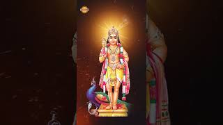 Pallikattu Sabarimalaiki Song  youtubeshorts  devotionalsongstelugu  ayyappaswamysongs [upl. by Barna]