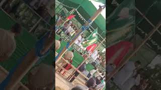 Tejasvi Yadav shorts youtubeshorts rjd rjdlover tejashwiyadav reels laluyadav election [upl. by Kcirtemed]