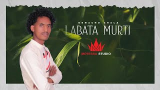 Gammachuu Caalaa  Labata Murtii Official Video [upl. by Ryann645]