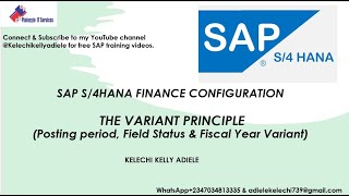 SAP S4HANA FINANCE THE VARIANT PRINCIPLE Posting period Field Status amp Fiscal Year Variant [upl. by Oflodor]