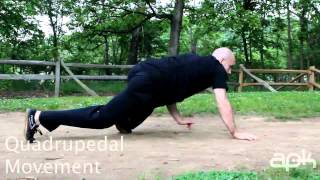 Quadrupedal Movement Parkour Training and Conditioning [upl. by Absa]