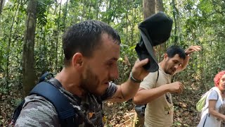 Swarmed By Giant Bugs In The Amazon Jungle 🇵🇪 [upl. by Lekym121]