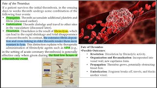 FATE OF THROMBUS  PATHOLOGY PAPAER 1 RGUHS MBBS PYQs  3 Markers  Quick Review  ROBBINS [upl. by Drusilla]