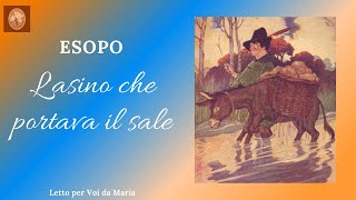 ESOPO quotLasino che portava il salequot [upl. by Htebazileharas]