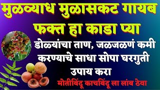 मुळव्याध मुळासकट गायब फक्त हा काडा प्या  डोळ्यांचा ताणजळजळणं कमी करण्याचे उपाय करा [upl. by Deeraf]