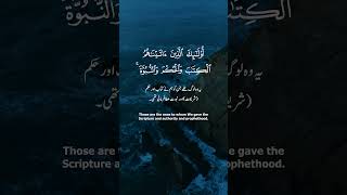 Beautiful Recitation Surah Al Anam Ayah 8890  Full Quran 39 [upl. by Nilyahs]