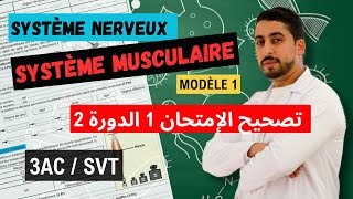 3AC  Correction contrôle 1  Semestre 2  Le système nerveux ☑️ Le système musculaire ☑️ [upl. by Iron]