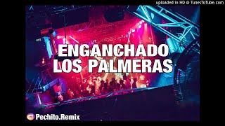 LOS PALMERAS ✘ ENGANCHADO 2 ✘ REMIX FIESTERO ✘ PECHITO REMIX 🌴 [upl. by Nura506]