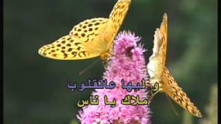 Arabic Karaoke Georges Wassouf Alb El 3ache2 Dalilou [upl. by Iggie888]