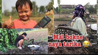 Aalu ropana mal bokdae 😁 Mal bokne naya tarika 😹itsmeasmita newvlog [upl. by Stephi]