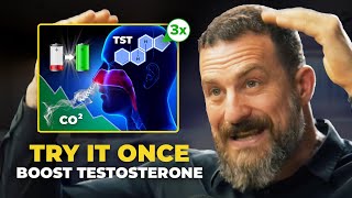 Neuroscientist Increase Testosterone PERMANENTLY in Minutes  Andrew Huberman [upl. by Kain]