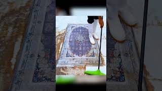 Carpet Cleaning ASMR Watch the Magic Happen [upl. by Salbu]