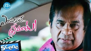 Brahmanandam Nice Comedy Scene  Endukante Premante [upl. by Keppel]