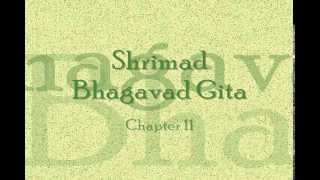 Bhagavad Gita  Chapter 11 Complete Hindi translation [upl. by Lyj]