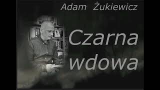 1 A Ż Czarna wdowa [upl. by Sonitnatsok]