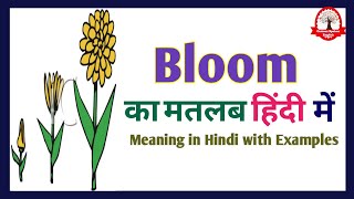 Bloom meaning in Hindi  Bloom का अर्थ क्या होता हे  Bloom meaning Explained in Hindi [upl. by Craven]