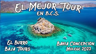 El Mejor Tour de BCS está en Mulegé  Verano 2023  El Burro Baja Tours [upl. by Annais]