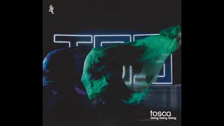 🇦🇹 Tosca  Going Going Going Full Album 2017 Vinyl [upl. by Notsahc]