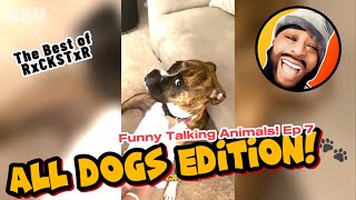 Best of RxCKSTxR Funny Talking Animal Voiceovers Compilation Ep 7 [upl. by Brenza464]