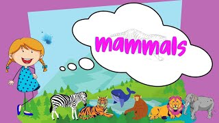 mammals  learn the characteristics of mammals for kids [upl. by Kennith]