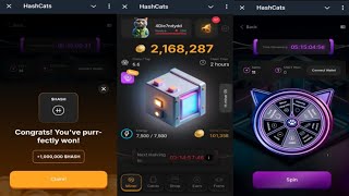 HashCats  New Feature Helps You Earn More HASH Coins Faster  Come Join Me  Telegram Crypto Bot [upl. by Wagshul]