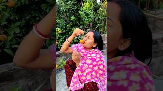 নিশিতা লোকের বাড়ির গাছ থেকে লেবু চুরি করলো 😛😁shorts minivlog [upl. by Ydneh]