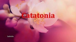 Psychiatry Lecture Catatonia [upl. by Ress]