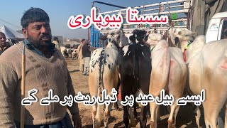 Mandra Mandi today 2024 latest update ll Part 1 ll domail mandi ll Jamil tv ll [upl. by Merritt]