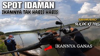 CASTING IKAN GABUS‼️💯SLX DC XT VS HARUAN DELTA  SPOT PULAU SEBERANG [upl. by Gilus]