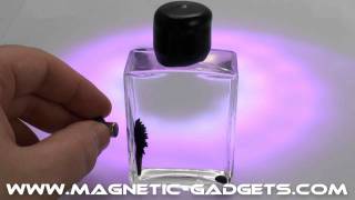 Nano Drop FerroFluid Desk Toy available at wwwmagneticgadgetscom [upl. by Borchers128]