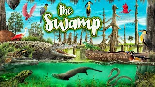 Zoo Tours The Swamp  Brookfield Zoo [upl. by Lanaj]