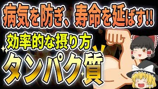 おすすめ！病気を防ぎ、寿命を延ばす！タンパク質の最も効果的な摂取方法【ゆっくり食と健康】 [upl. by Talbert972]