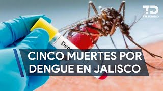 Suman cinco muertes por dengue en Jalisco [upl. by Nilcaj]