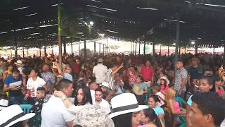 PICOTAZO De Monteria  Corralejas Cerete 2019 [upl. by Ygiaf]