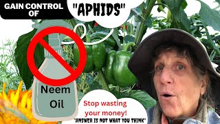 quotStop using Neemquot to control Aphids The aphid is a messenger [upl. by Kerry]