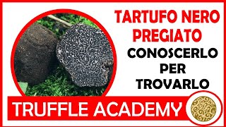 TARTUFO NERO PREGIATO ne parliamo con il MICOLOGO [upl. by Megan869]