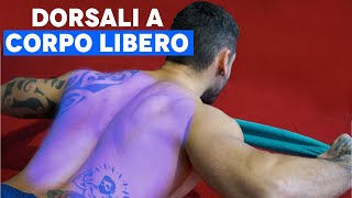 ALLENAMENTO DORSALI SENZA ATTREZZI  SCHEDA COMPLETA [upl. by Lilahk]