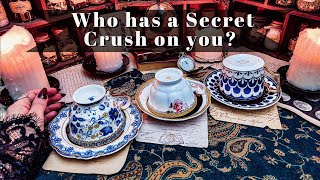 Who has a Secret Crush on You COFFEE and TAROT [upl. by La Verne669]