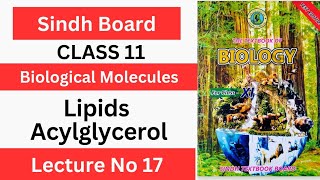 lipids  Acylglycerol  Fats amp Oils Class 11 Chapter1 Biological Molecules  Sindh text book board [upl. by Crescint23]