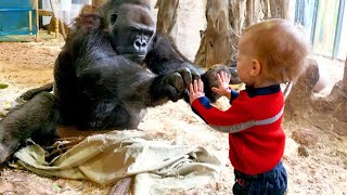 Little Friends Have Soft Encounters With Animals At The Zoo [upl. by Atworth]