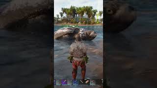 How To Tame an Archelon in ARK Survival Ascended shorts ark archelon [upl. by Dranal707]