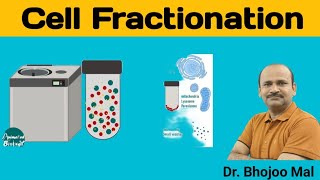 Cell Fractionation  Class 11 Biology  by Dr Bhojoo Mal [upl. by Oxford516]