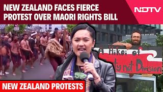 New Zealand Protests  Proposed Maori Bill Sparks Nationwide Protests In New Zealand [upl. by Zinnes]