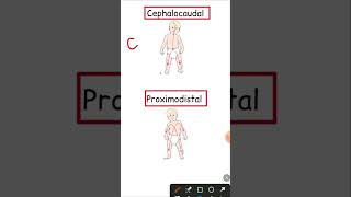 Cephalocaudal and Proximodistal 2023 ctet ctet2023 cdp [upl. by Etac]