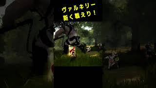 【mmorpg 】ヴァルキリーは斯く戦えり！ blackdesertonline games 黒い砂漠 [upl. by Sanbo851]