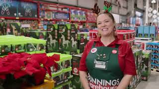 Bunnings Warehouse Ad 2023 [upl. by Ennayar]