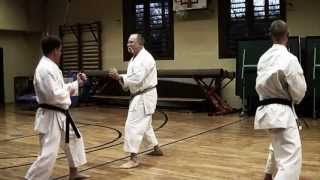 Real traditional Karate 空手 and Myint Kywe 先生 [upl. by Valentina]