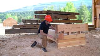 Cabin Building Get To Know the Dovetail Notch onlinecourse building cabin elearning [upl. by Aninahs614]