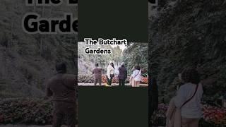 The Butchart Gardens butchartgardens youtubehighfive [upl. by Gayla]