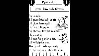 Short i sound Pip the dog english  phonics [upl. by Cower]